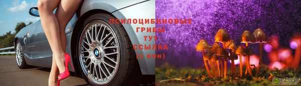ешки Абинск