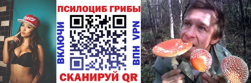 Псилоцибиновые грибы ЛСД  blacksprut как зайти  Лебедянь 